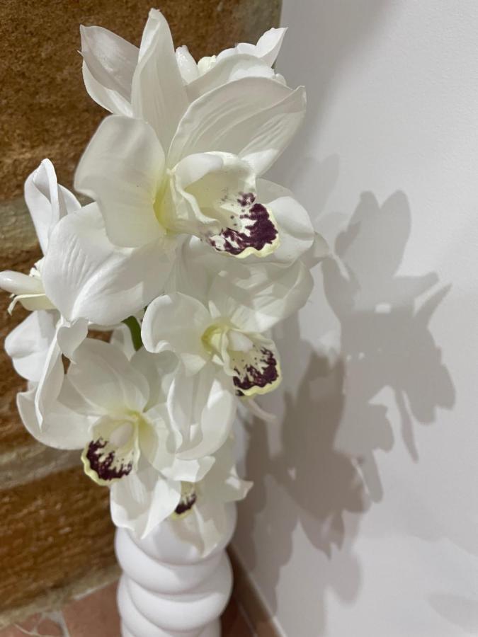 시라쿠사 L'Arco Di Athena 빌라 외부 사진